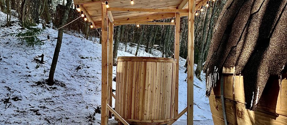 Voyage Russie - Husky, banya à Saint Pétersbourg