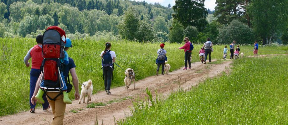 Randonnée avec chiens Huskys, Voyage Russie