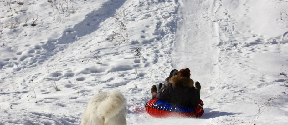 Bouée à neige - Huskys à Moscou