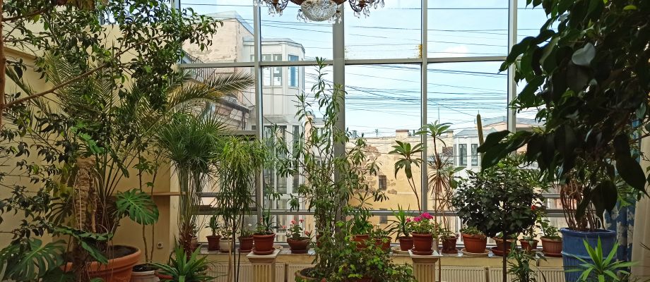 Параллельно Невскому проспекту