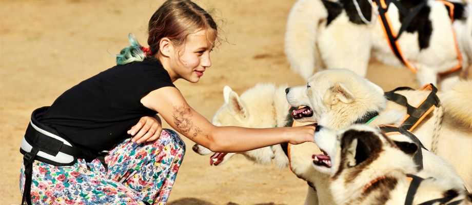 Randonnée avec chiens Huskys, Voyage Russie