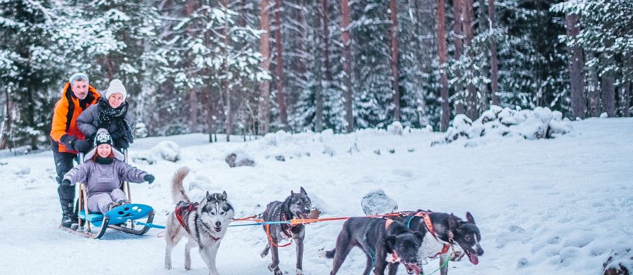 Saint Petersbourg - Chiens de traineau et shashliks